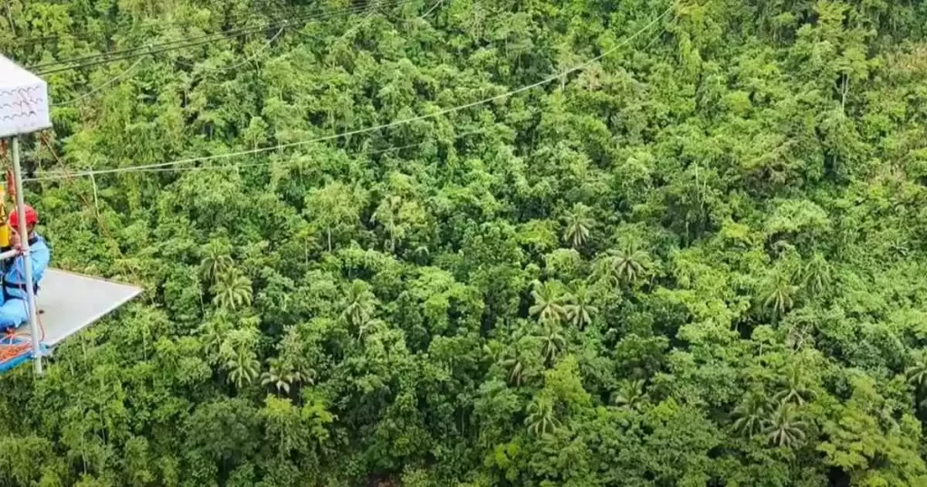 Danao Adventure Park in Bohol.