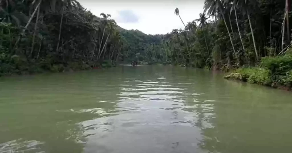 Loboc River in Bohol Philippines.