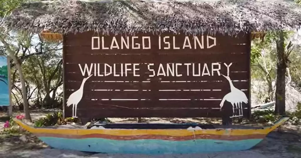 Olango Island Wildlife Sanctuary Cebu.