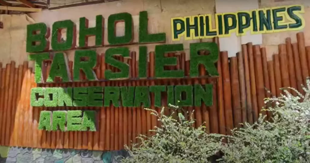 Tarsier Conservation Area in Bohol Philippines.