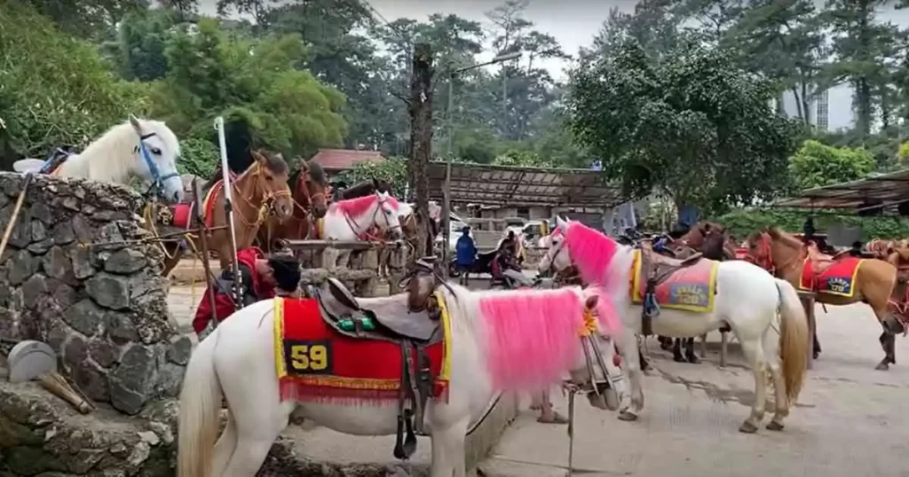 Wright Park in Baguio City